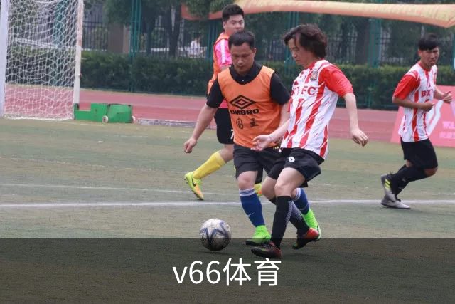 关于v66体育